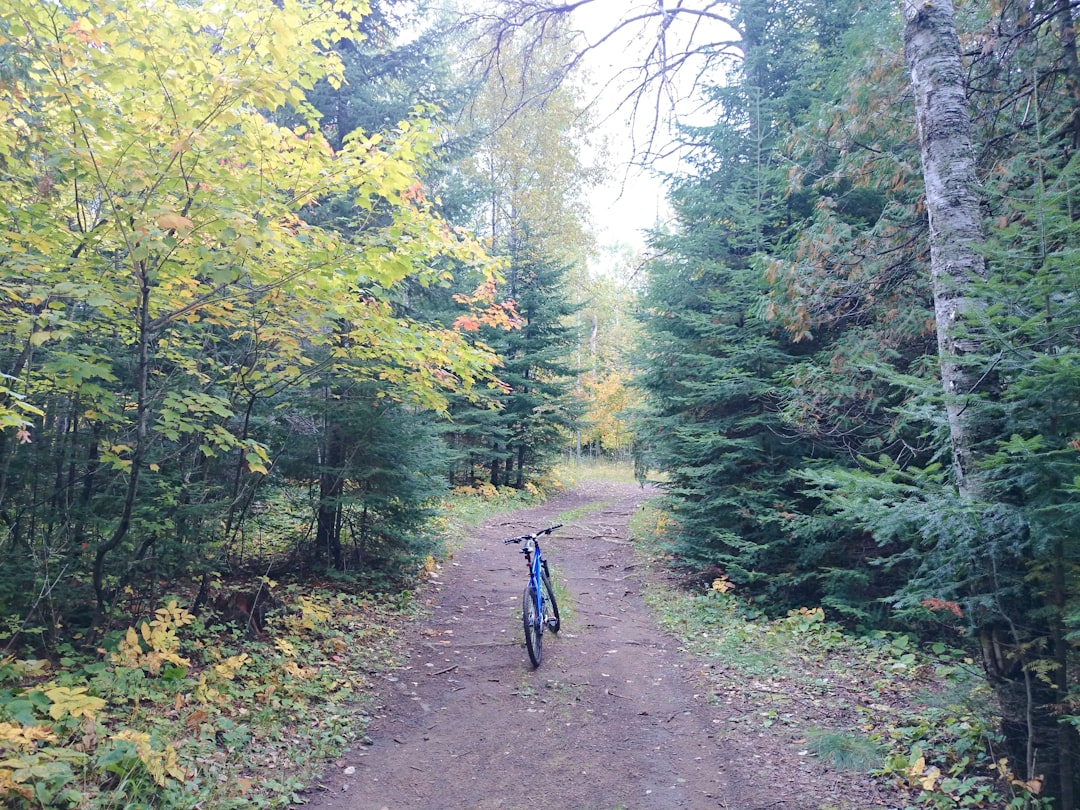 Photo Mountain biking